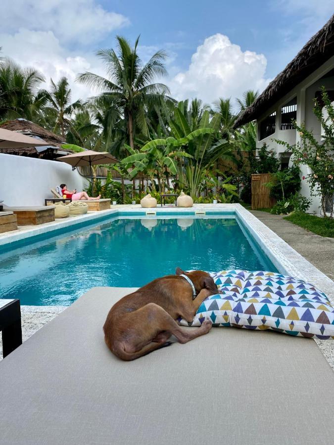 Parrots Boutique Resort ซาน วิเซนเต ภายนอก รูปภาพ